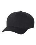 Flexfit-110® Pro-Formance® Cap-110C